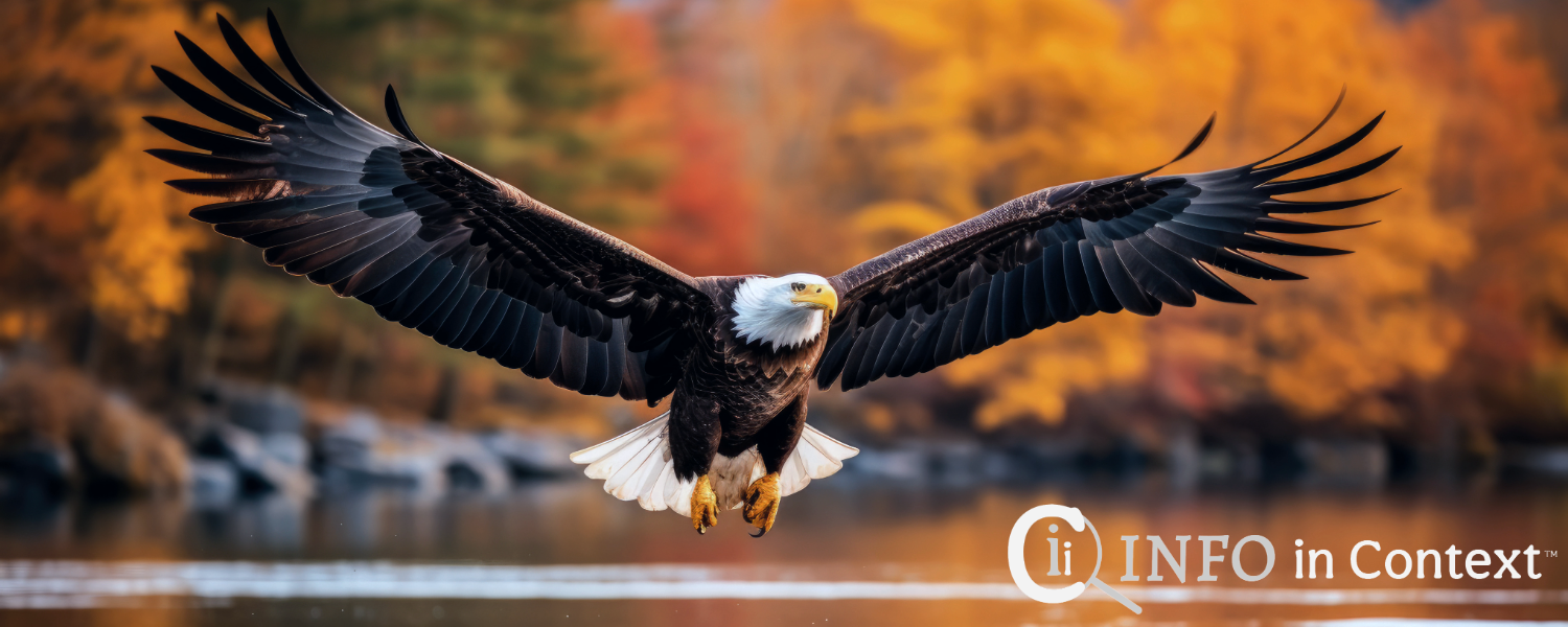 FREEDOM ISN'T FREE